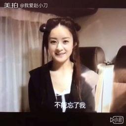 明星视频在线观看